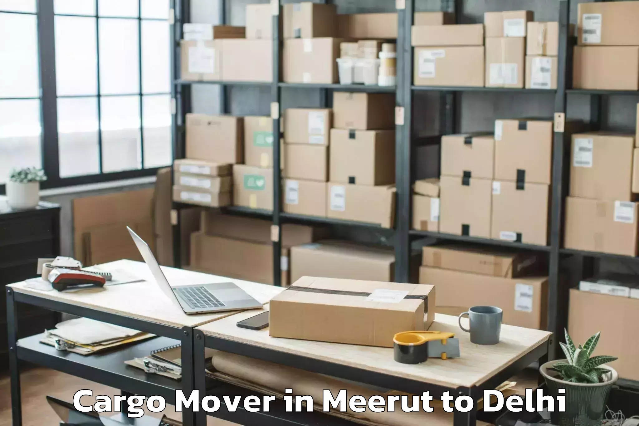 Easy Meerut to Naraina Cargo Mover Booking